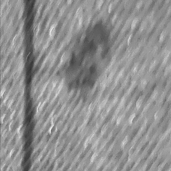 Flutterbye Blouse - Picture 2 of 2